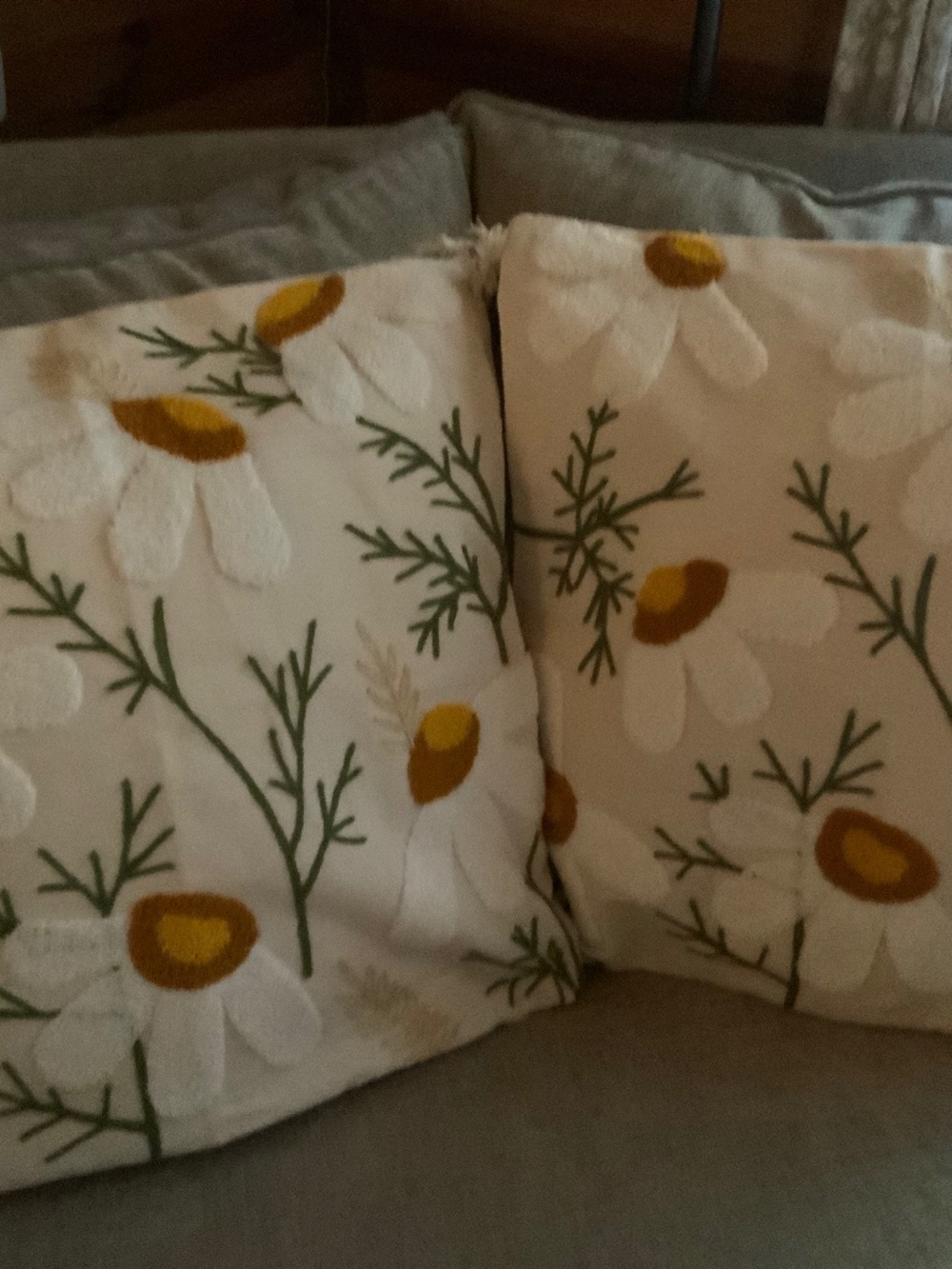 Set of Two (2) 18x18 Embroidered Pillow Covers